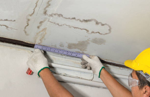 Reliable Mold Remediation contractor in Atlantic, NC by Water Damage Irwin